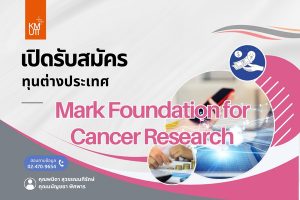 Mark Foundation for Cancer Research [Deadline11 November 2024]