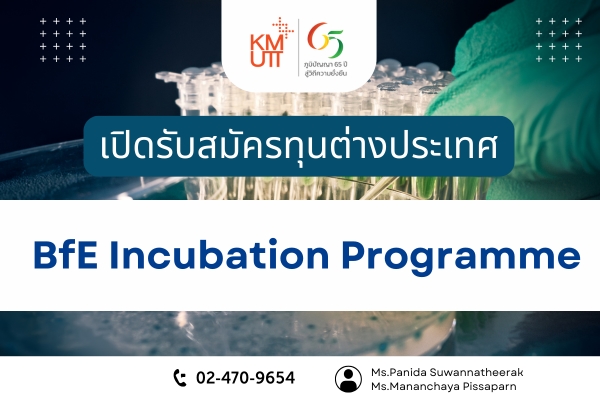 BfE Incubation Programme [Deadline: 1 April 2025]