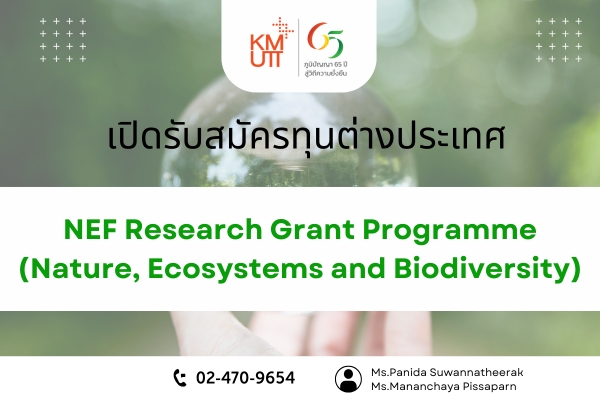 NEF Research Grant Programme (Nature, Ecosystems and Biodiversity)