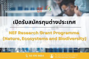 NEF Research Grant Programme (Nature, Ecosystems and Biodiversity) [Deadline: 14 October 2025]