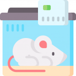 lab