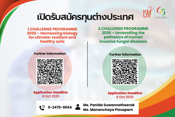 Two international research grants for 2025 are now open