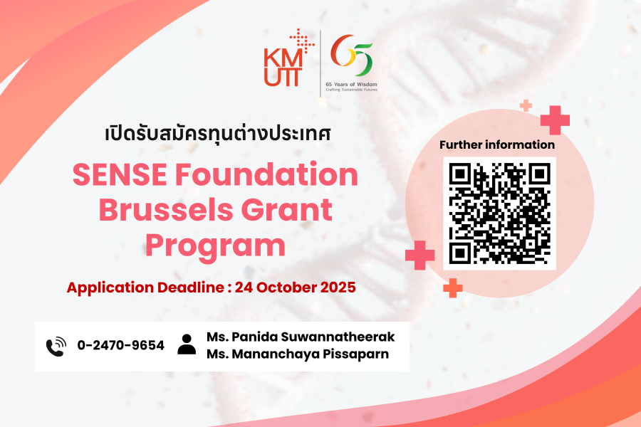 SENSE Foundation Brussels Grant Program