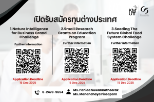 Three international research grants for 2025 are now open