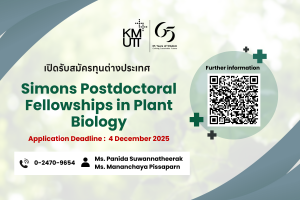 Simons Postdoctoral Fellowships in Plant Biology
